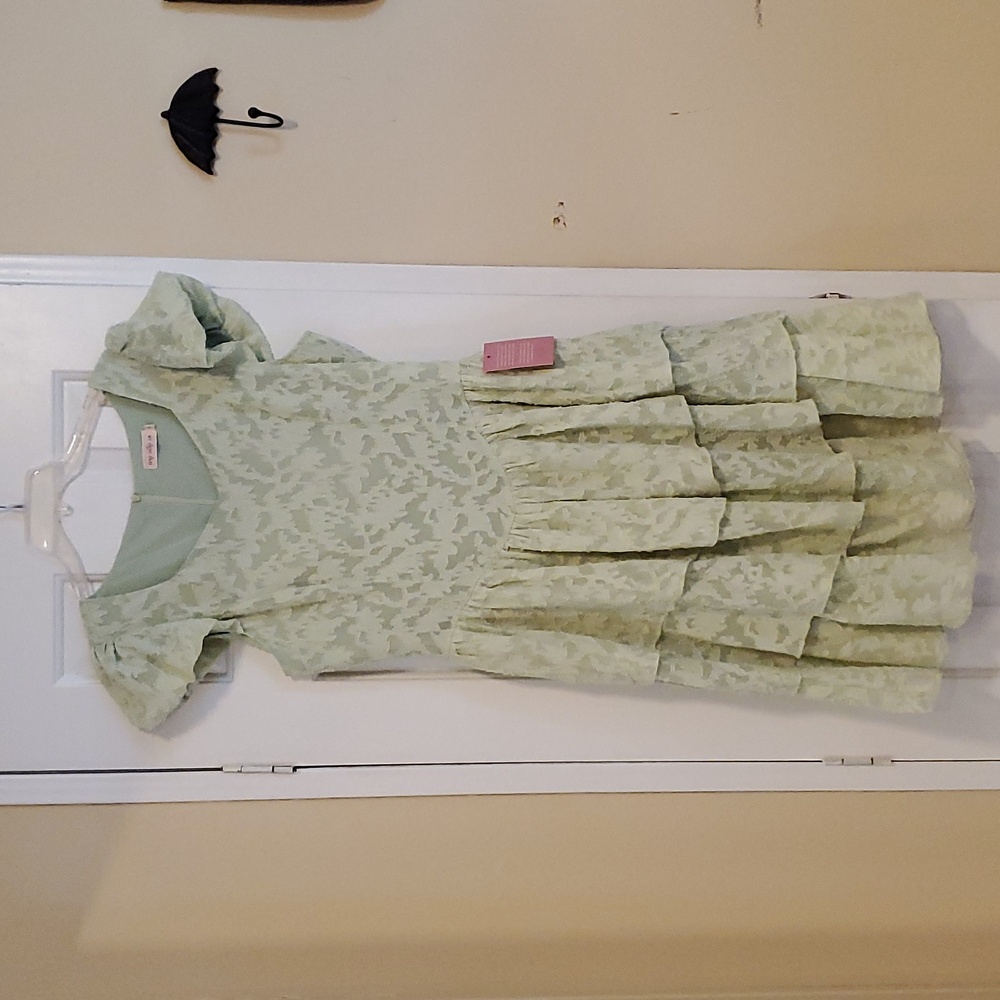 Ivy City Co, 8, Elegant Mint Green Lace Tiered Dress, NWT